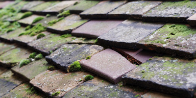 Leintwardine roof repair costs